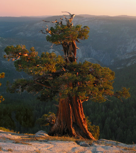 view  from south of Clouds Rest