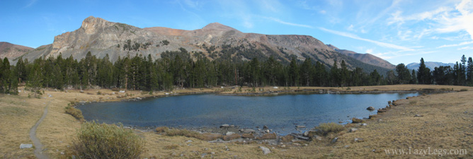 view from Mt Dana trailhead